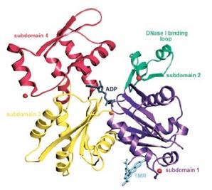 Molecular component7.jpg